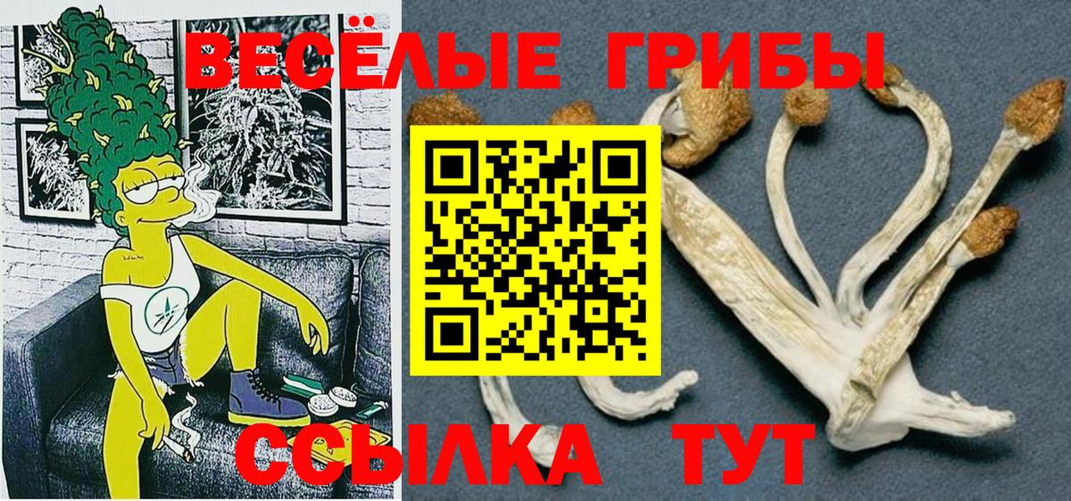 Галлюциногенные грибы ЛСД  Вход с VPN  купить наркотик  Белогорск 